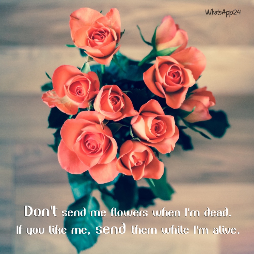 Don't send me flowers when I'm dead. If you like me, send ...