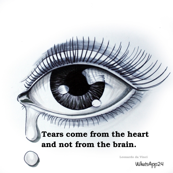 Tears Come From Heart And Not From Brain - Daily Quotes